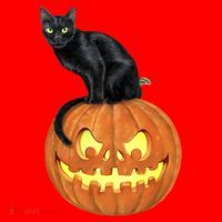 Black Cat Jack O' Lantern Pumpkin Santa Hat thumb 1