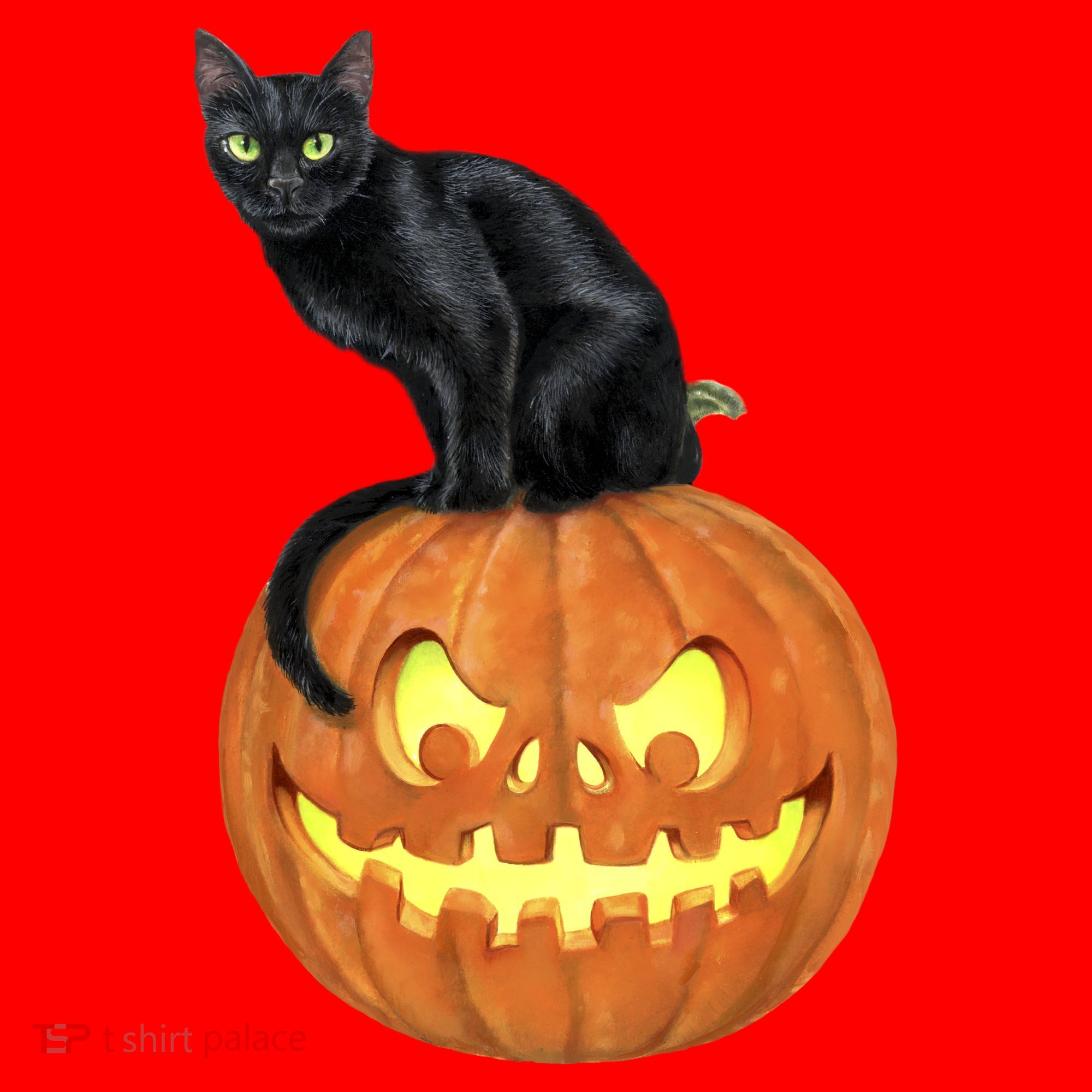Black Cat Jack O' Lantern Pumpkin Santa Hat