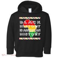 Black History Is American History Toddler Hoodie thumb 0