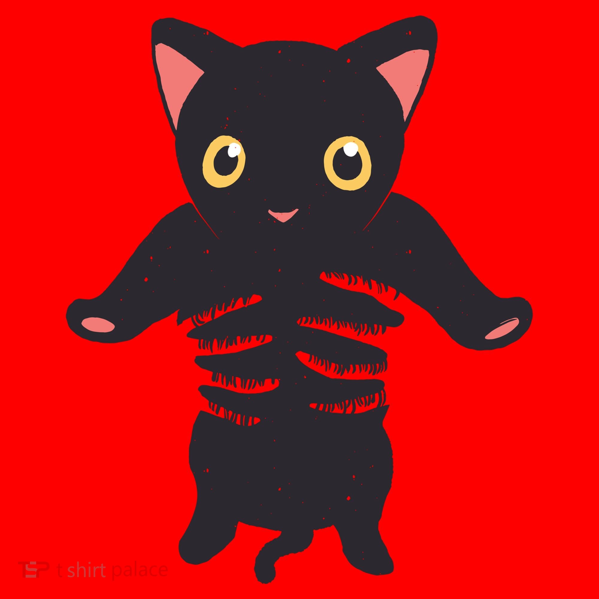 Black Kitty Being Held Santa Hat