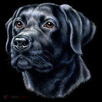 Black Lab Apron thumb 3