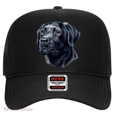 Black Lab Hat