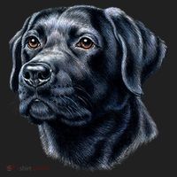 Black Lab Golf Towel thumb 3