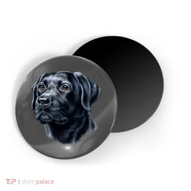 Magnet