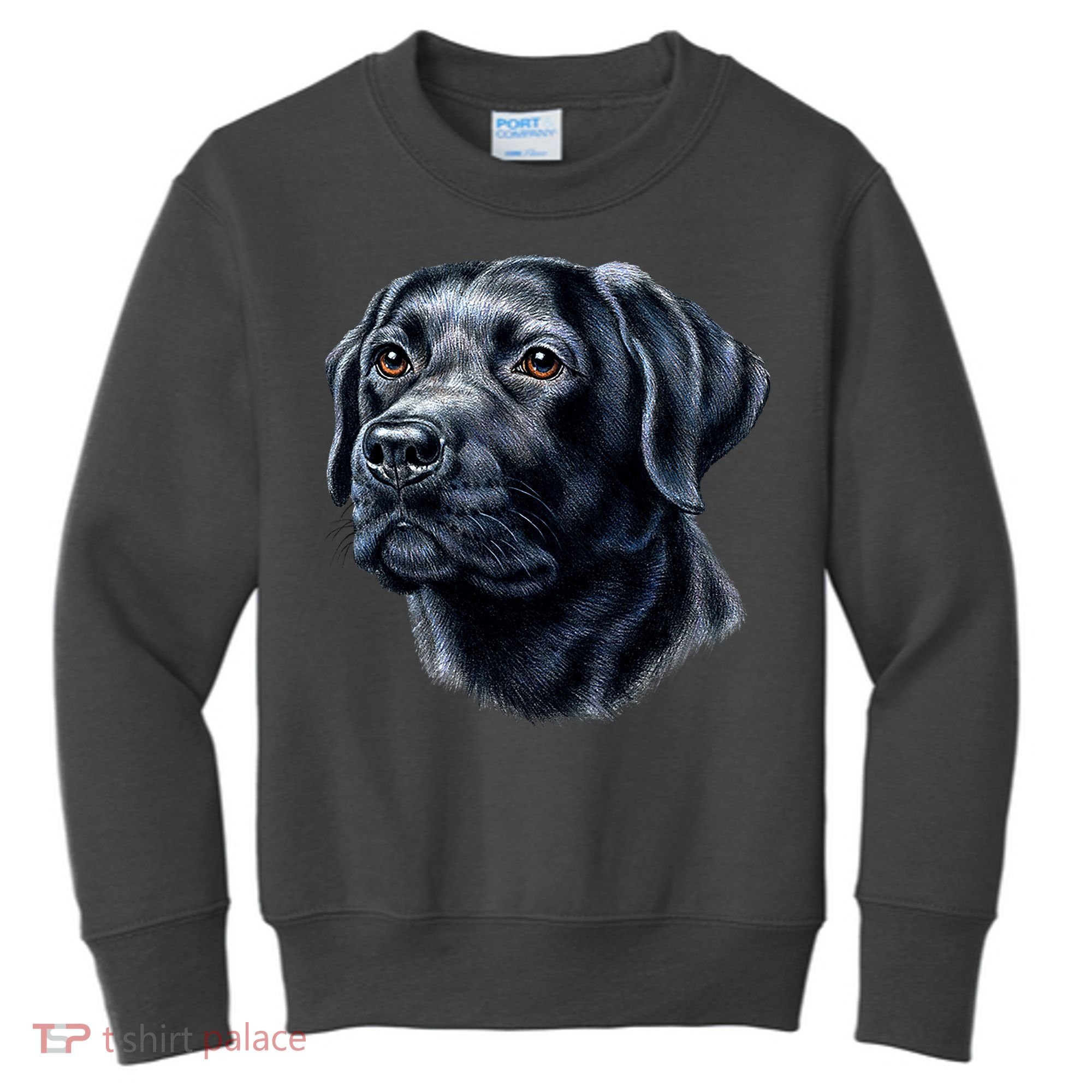 Black Lab Kids Sweatshirt