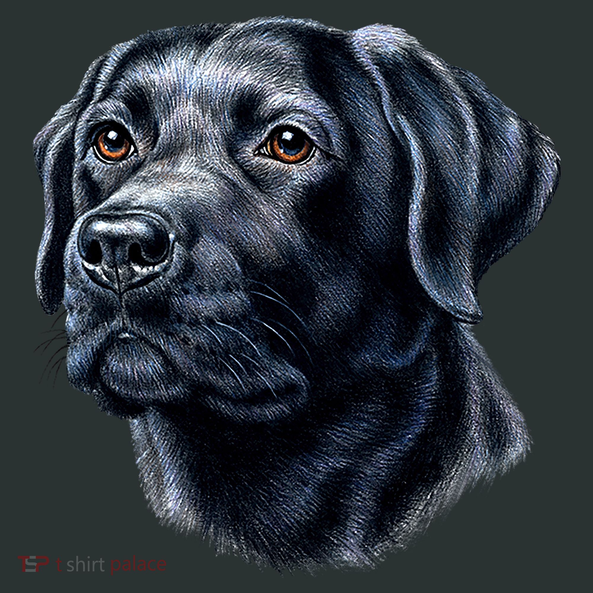 Black Lab Kids Sweatshirt