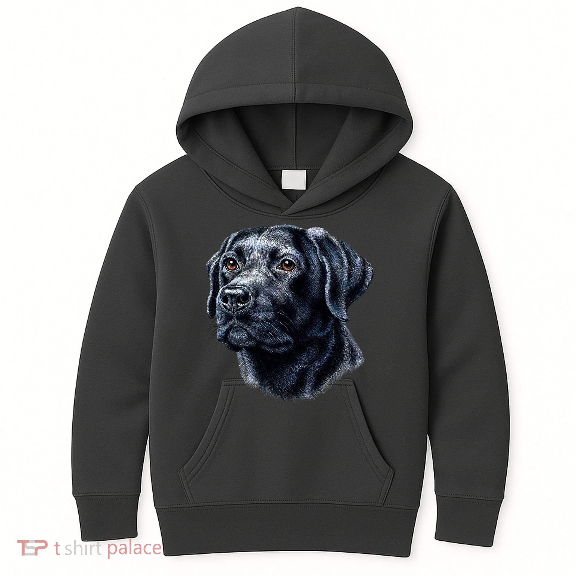 Black Lab Kids Hoodie