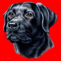 Black Lab Santa Hat thumb 1