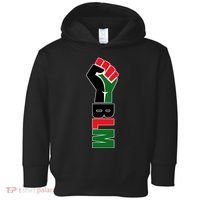 Black Lives Matter Power Fist Toddler Hoodie thumb 0