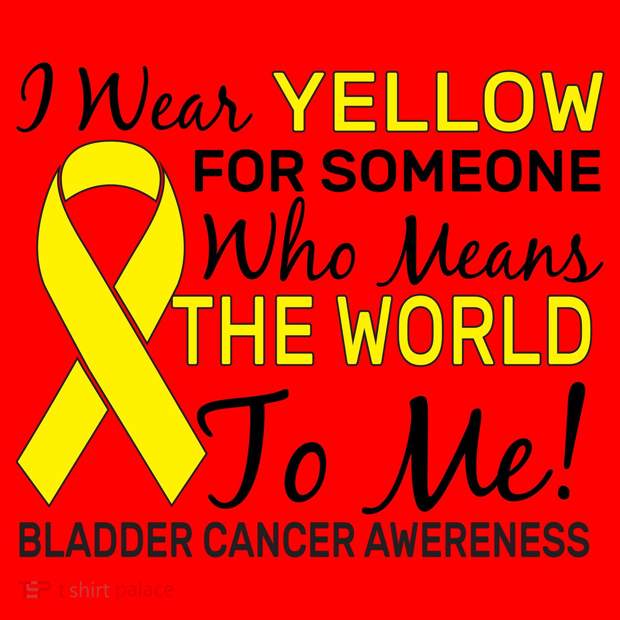 Bladder Cancer Awareness Santa Hat