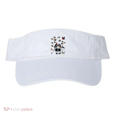 Visor