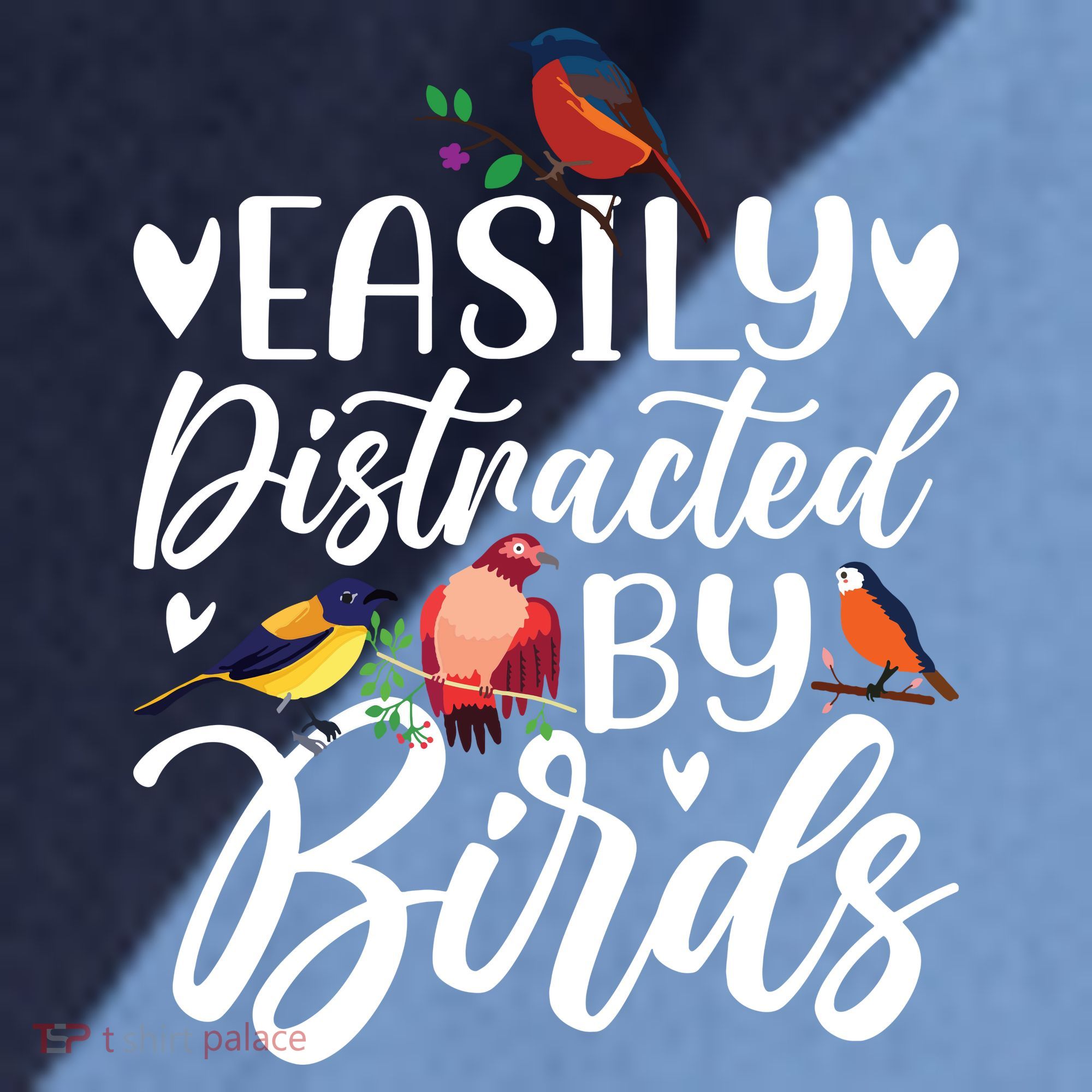 Bird Lovers Birdwatching Easy Distracted By Birds Birder Raglan Baseball Sleeve Shirt