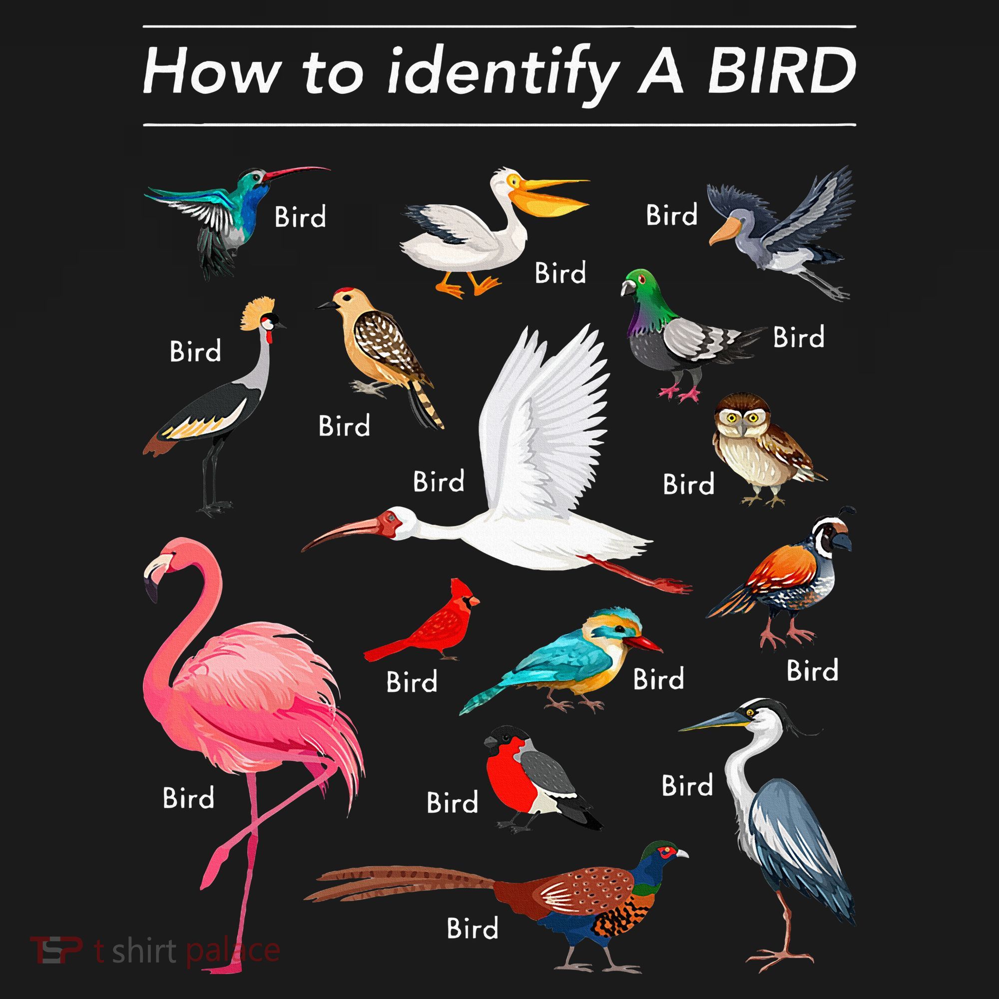 Birdwatcher Lover Birdwatching How To Identify A Bird Apron
