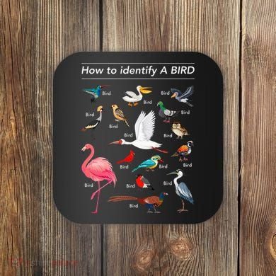 Birdwatcher Lover Birdwatching How To Identify A Bird Coaster