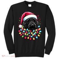 Black Labradoodle Christmas Tree Xmas Lights Doodle Dog Sweatshirt thumb 0
