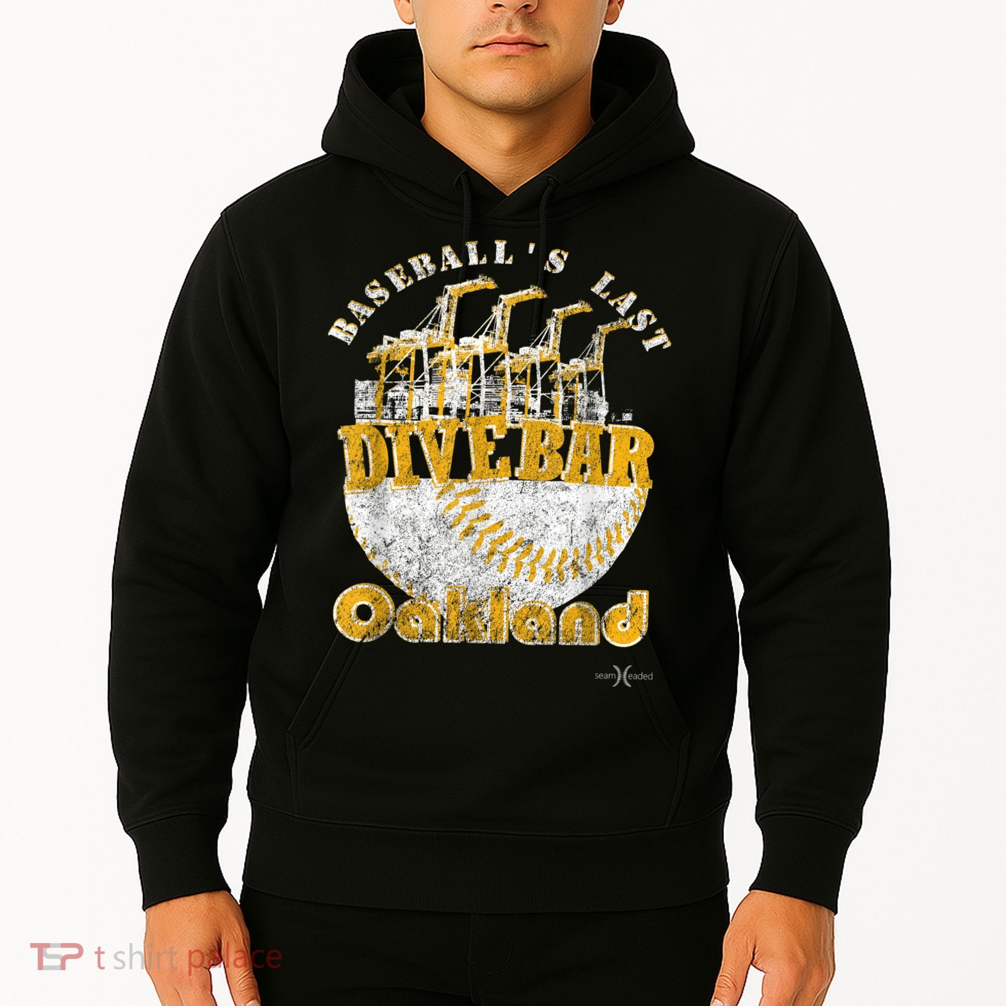 Baseball's Last Dive Bar Hoodie