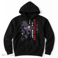 Best Lab Dad Ever Labrador Dog American Flag Fathers Day Hoodie thumb 0