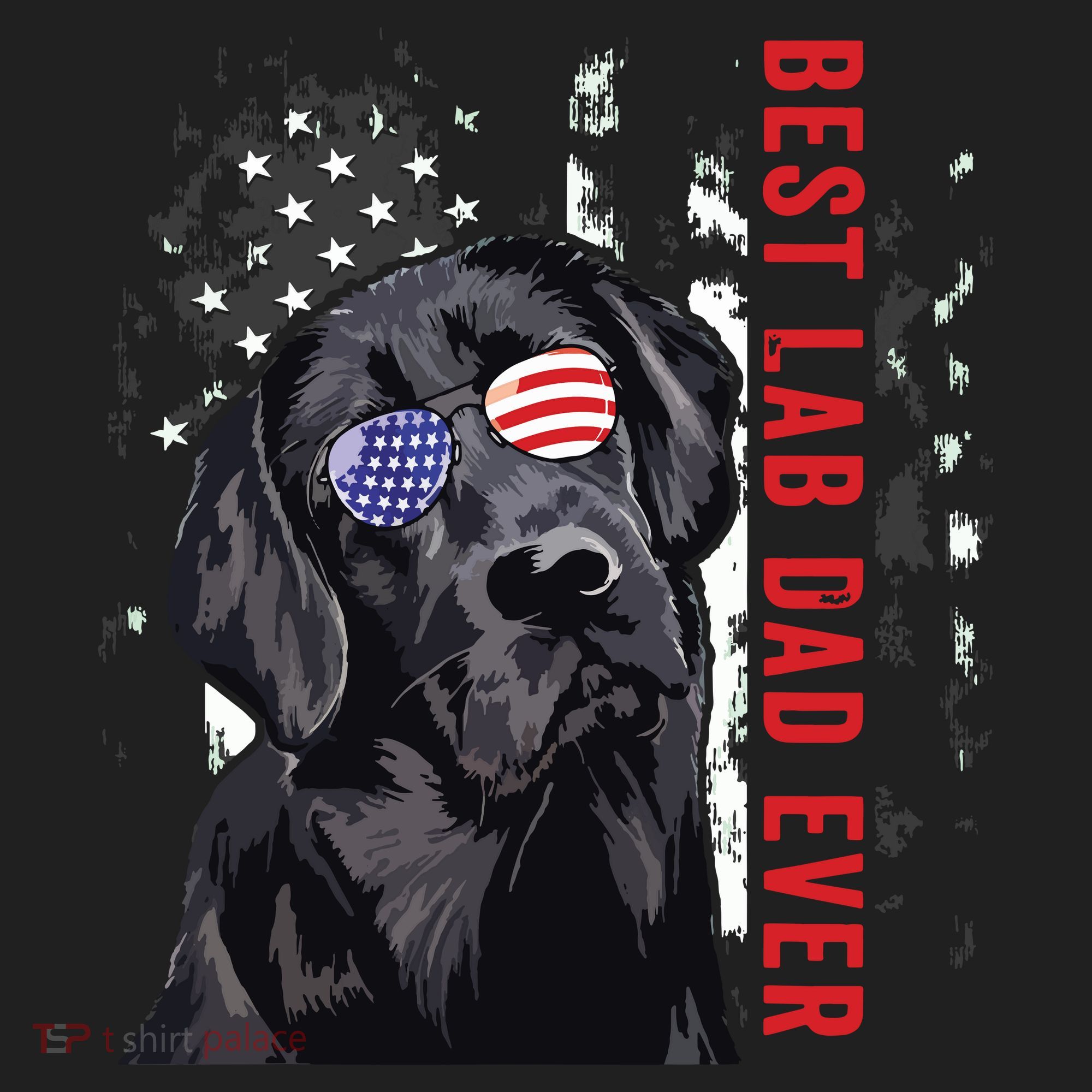 Best Lab Dad Ever Labrador Dog American Flag Fathers Day Tumbler