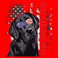 Best Lab Dad Ever Labrador Dog American Flag Fathers Day Santa Hat thumb 1