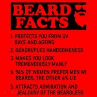 Beard Lover Funny Beard Facts Bearded Guy Humor Santa Hat thumb 1