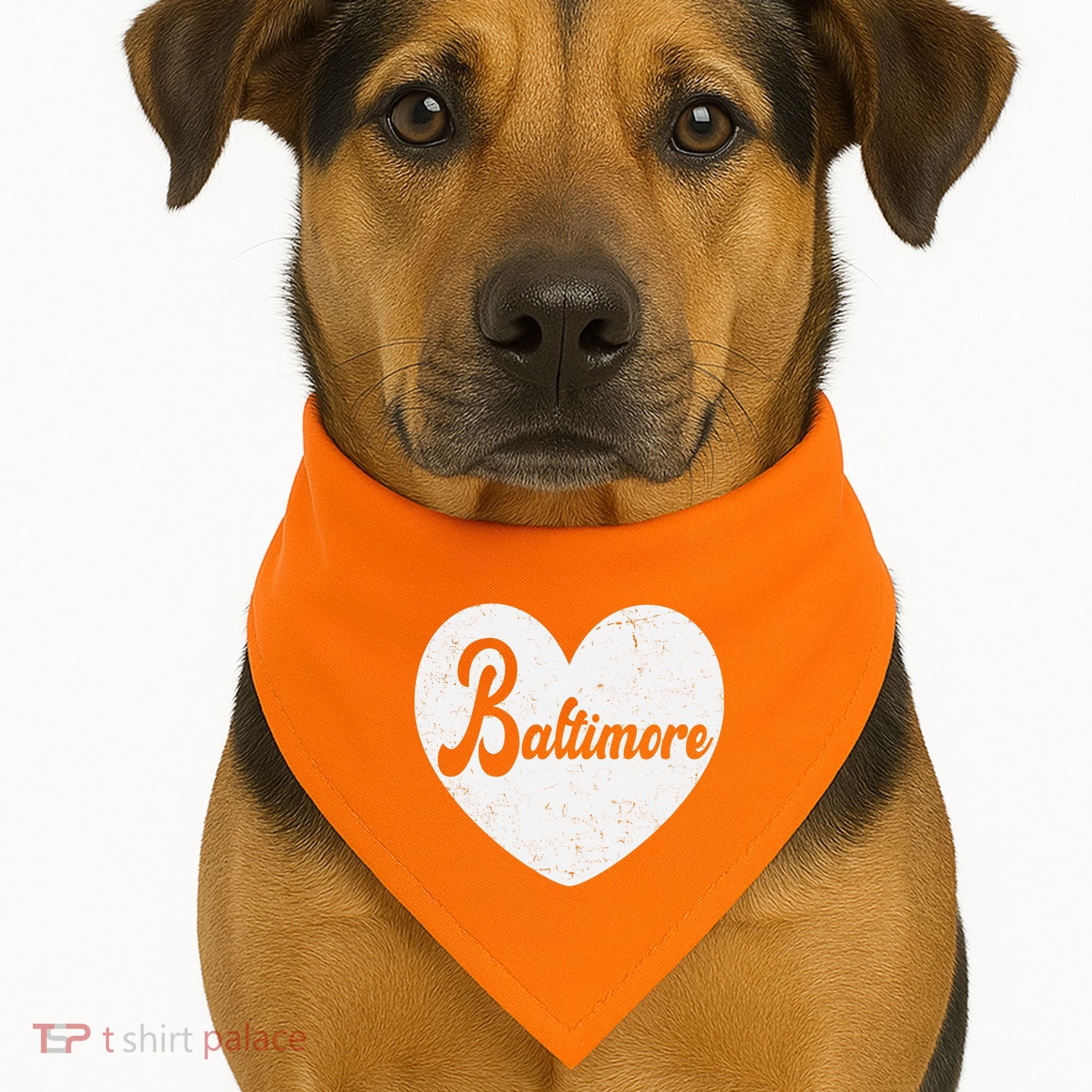 Baltimore Love Heart Support Tribute USA-Made Doggie Bandana