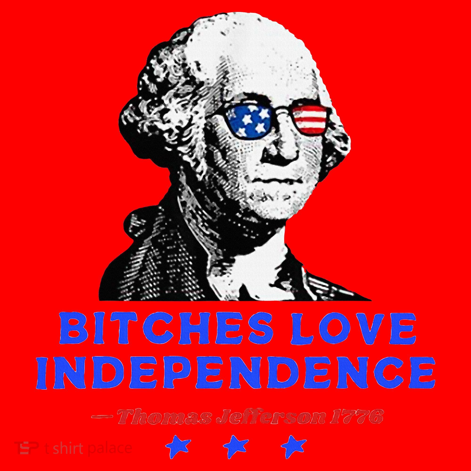 Bitches Love Independence Funny Founding Fathers Santa Hat