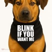 Blink If You Want Me USA-Made Doggie Bandana thumb 1