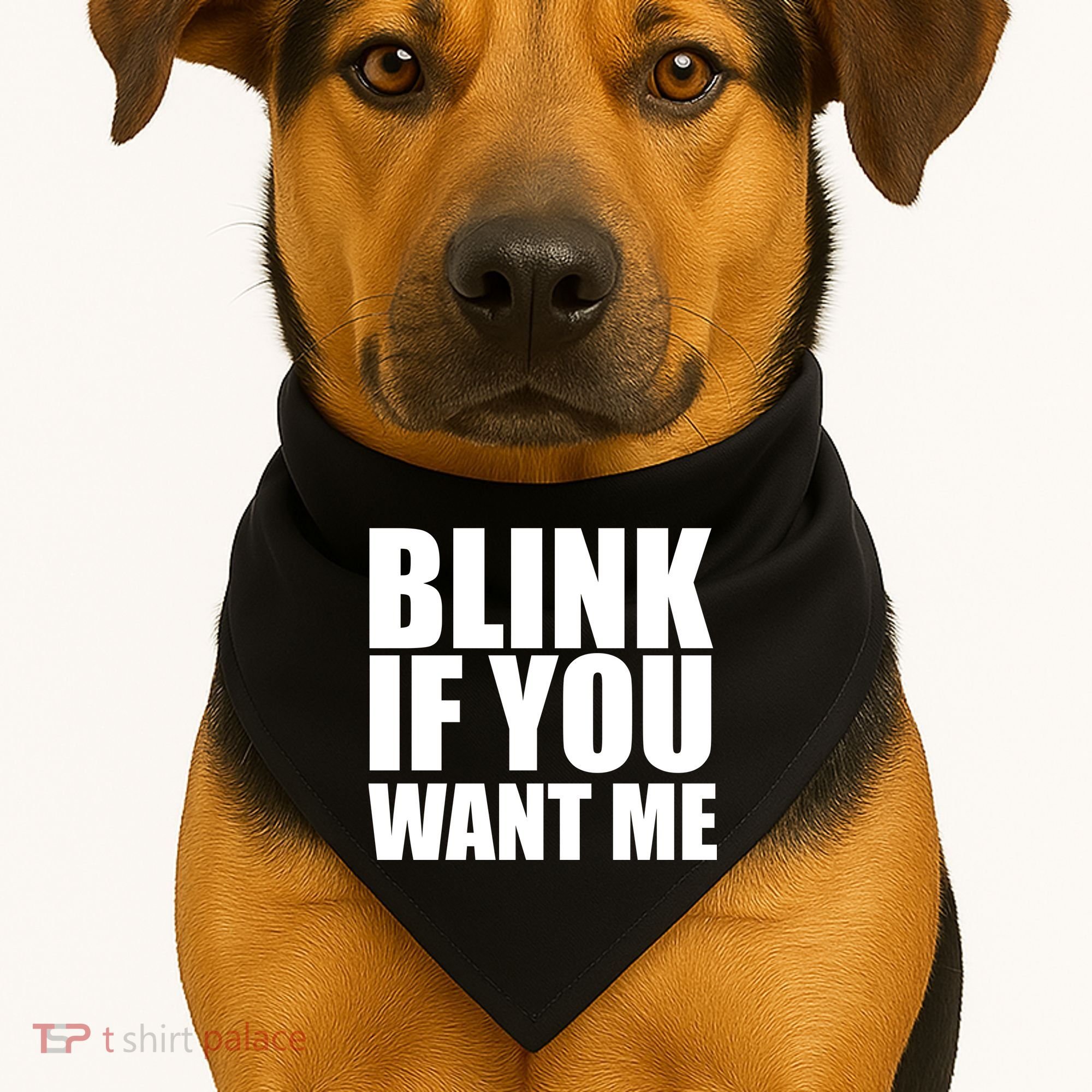 Blink If You Want Me USA-Made Doggie Bandana