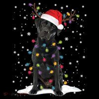 Black Lab Labrador Christmas Tree Light Pajama Dog Xmas Gift Bucket Hat thumb 4