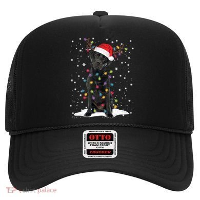 Black Lab Labrador Christmas Tree Light Pajama Dog Xmas Gift Hat