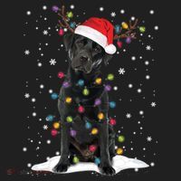 Black Lab Labrador Christmas Tree Light Pajama Dog Xmas Gift Hat thumb 2