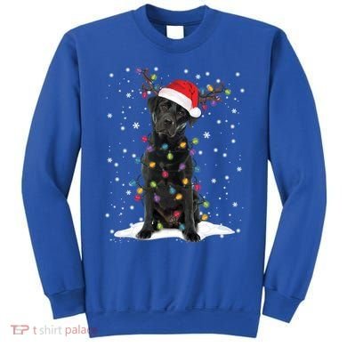 Black Lab Labrador Christmas Tree Light Pajama Dog Xmas Gift Sweatshirt