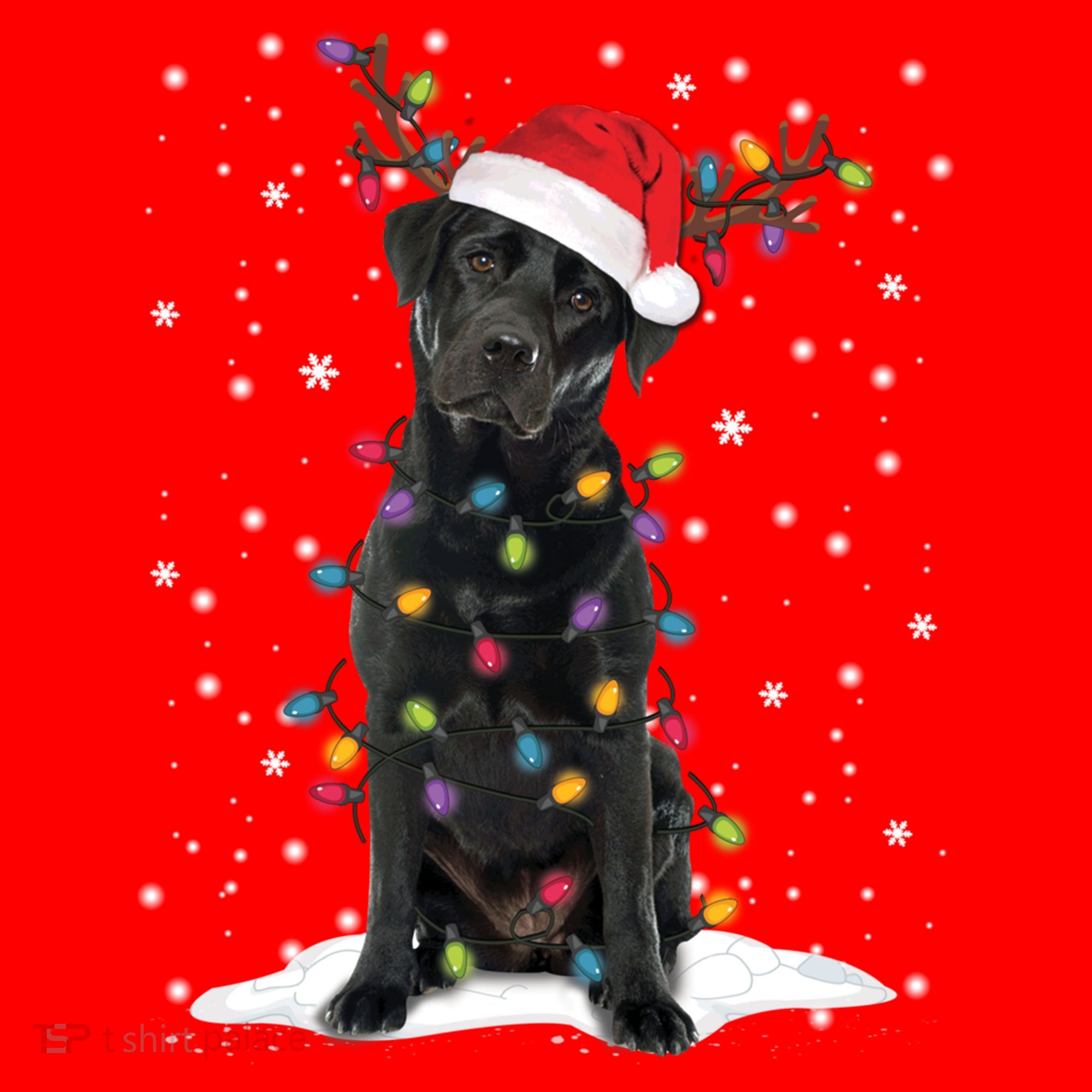 Black Lab Labrador Christmas Tree Light Pajama Dog Xmas Gift Santa Hat