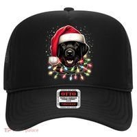 Black Lab Labrador Christmas Tree Light Pajama Dog Xmas Hat thumb 0