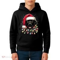 Black Lab Labrador Christmas Tree Light Pajama Dog Xmas Kids Hoodie thumb 4
