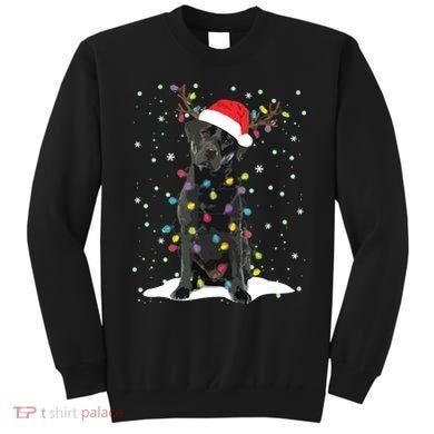 Black Lab Labrador Christmas Tree Light Pajama Dog Xmas Sweatshirt