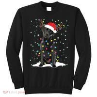 Black Lab Labrador Christmas Tree Light Pajama Dog Xmas Sweatshirt thumb 0