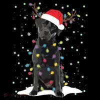 Black Lab Labrador Christmas Tree Light Pajama Dog Xmas Women's Hoodie thumb 2