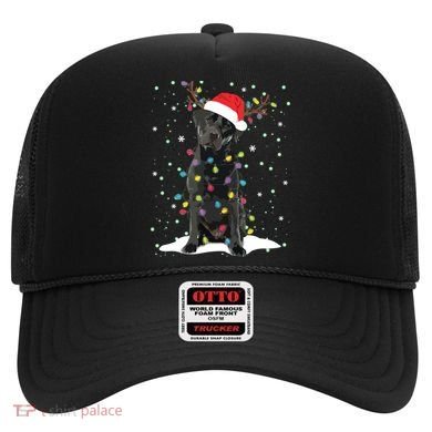 Black Lab Labrador Christmas Tree Light Pajama Dog Xmas Hat