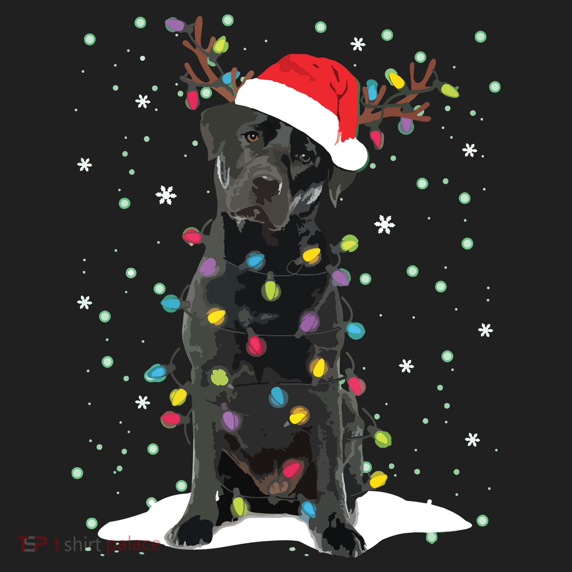 Black Lab Labrador Christmas Tree Light Pajama Dog Xmas Hat