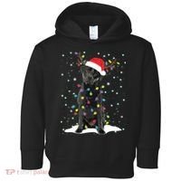 Black Lab Labrador Christmas Tree Light Pajama Dog Xmas Toddler Hoodie thumb 0