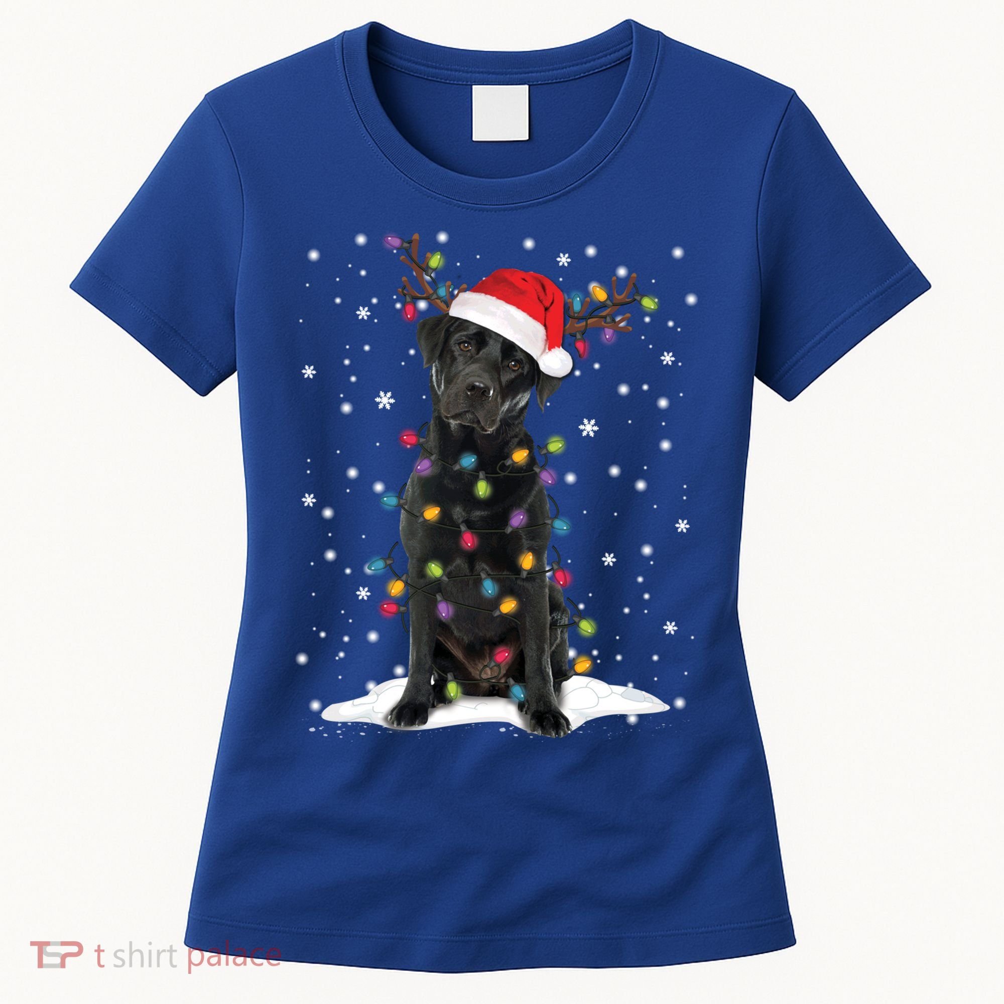 Black Lab Labrador Christmas Tree Light Pajama Dog Xmas Gift Women's T-Shirt