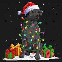 Black Lab Labrador Christmas Lights Pajama Dog Lover Xmas Women's Hoodie thumb 2
