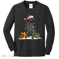 Black Lab Labrador Christmas Lights Pajama Dog Lover Xmas Kids Long Sleeve Shirt thumb 0