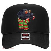 Black Lab Labrador Dog Owners Christmas Xmas Holiday Party Hat thumb 0
