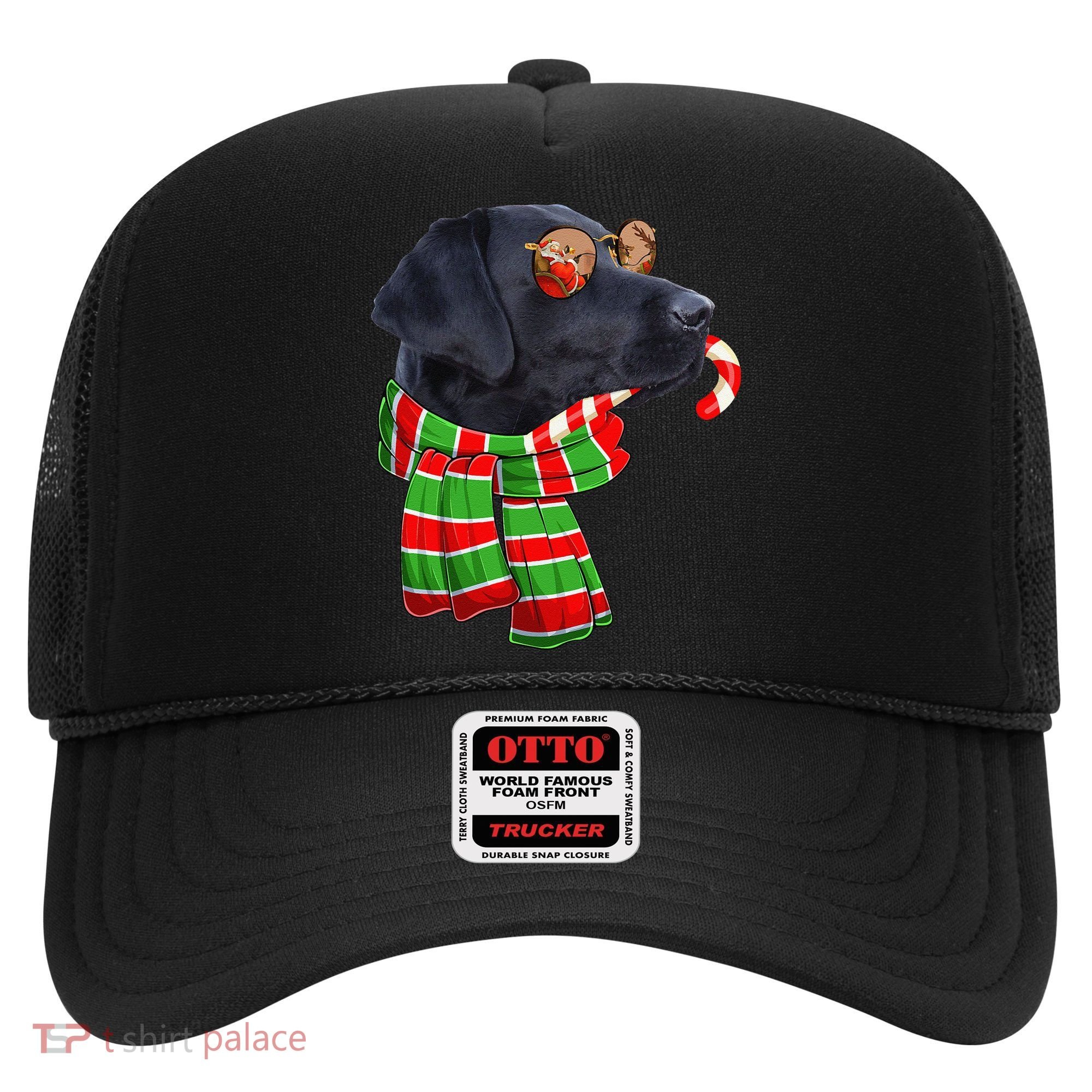 Black Lab Labrador Dog Owners Christmas Xmas Holiday Party Hat