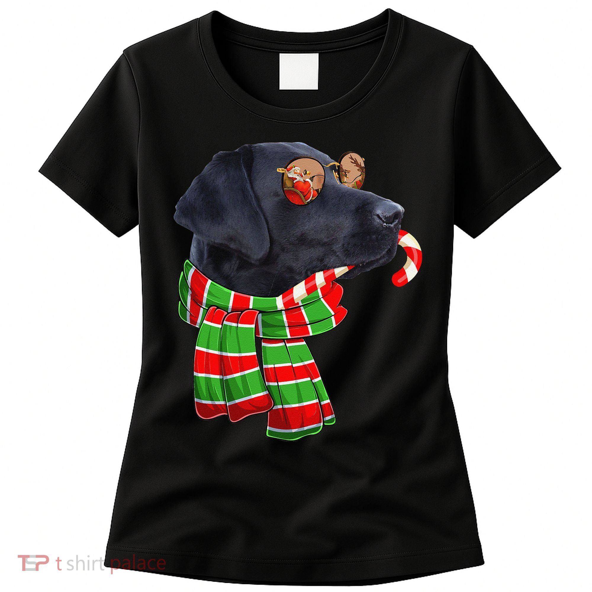 Black Lab Labrador Dog Owners Christmas Xmas Holiday Party Women's T-Shirt