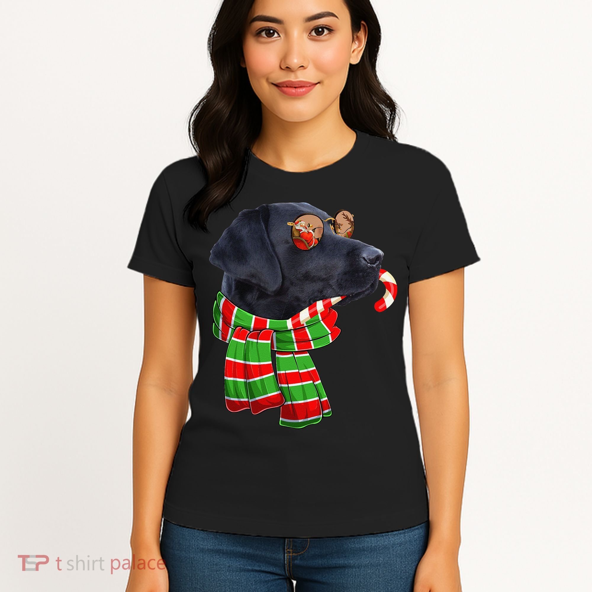 Black Lab Labrador Dog Owners Christmas Xmas Holiday Party Women's T-Shirt