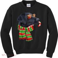 Black Lab Labrador Dog Owners Christmas Xmas Holiday Party Kids Sweatshirt thumb 0