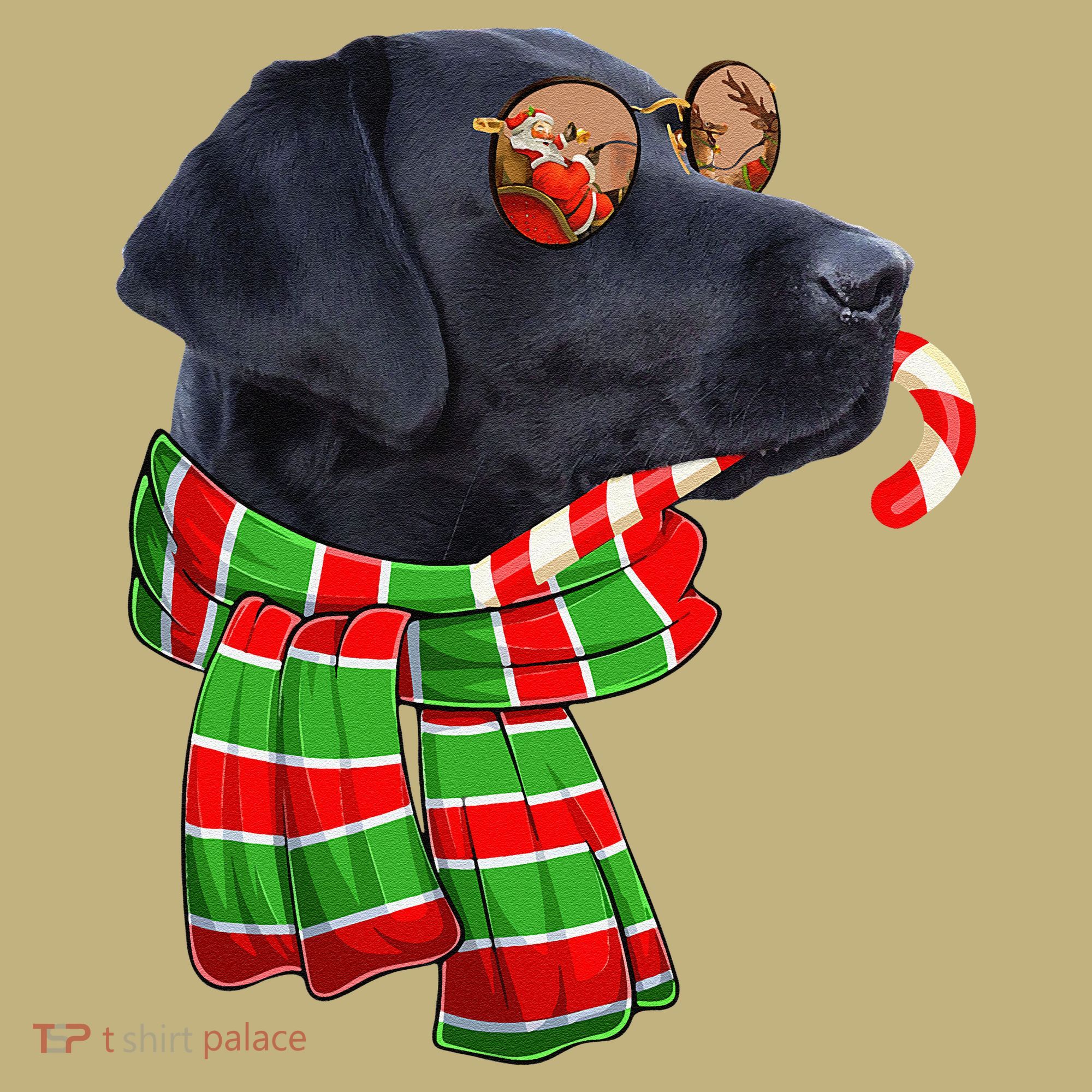 Black Lab Labrador Dog Owners Christmas Xmas Holiday Party Hoodie